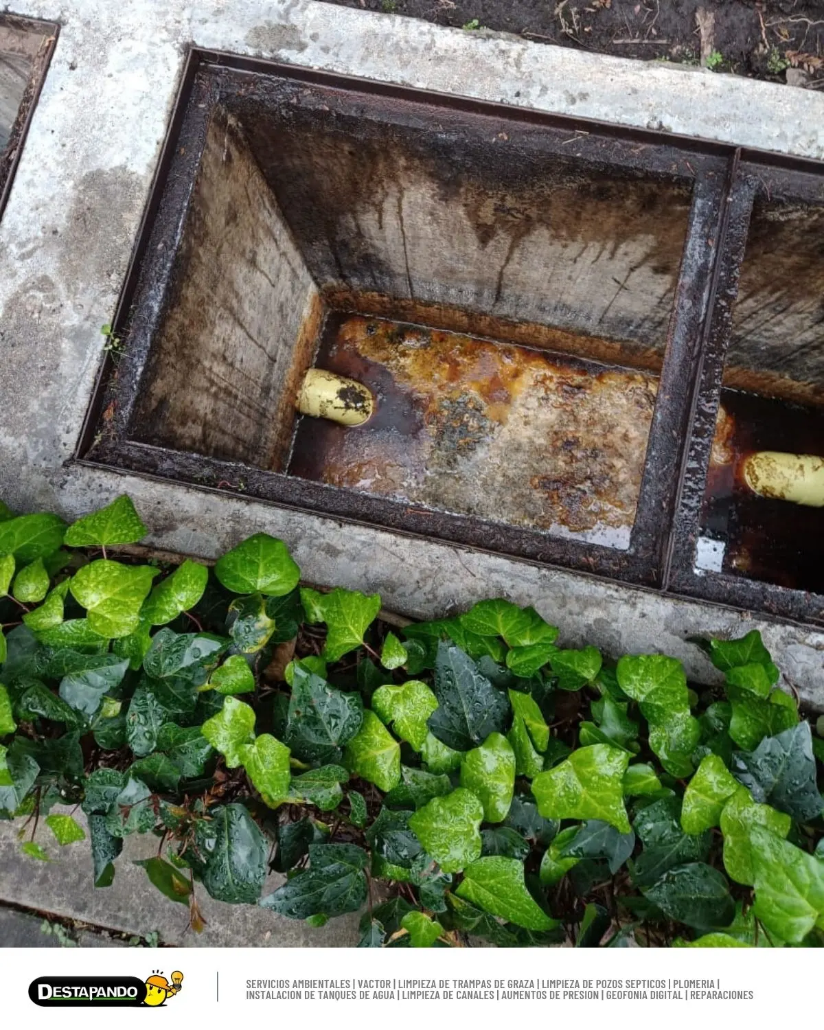 Limpieza de Trampa de Grasa en Buga